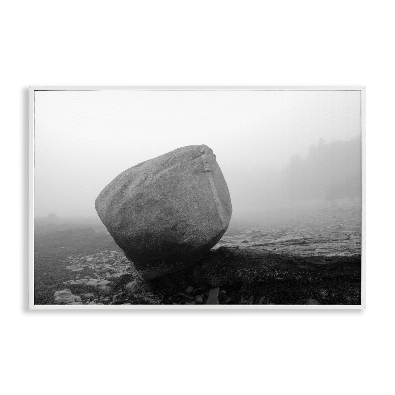 Stupell Industries Lone Isolated Rock Framed Giclee, design by James Rodewald